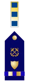 U.S. Coast Guard Chief Warrant Officer 2 Rank Insignia