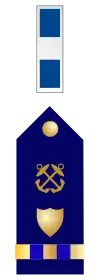 U.S. Coast Guard Chief Warrant Officer 3 Rank Insignia