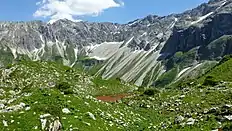 Nature reserve "Allgäuer Hochalpen" (NSG 00400.01): At an altitude of about 1800 m, the Schneck is behind the photographer. The valley in front belongs to the Stierbach in the upper Bärgündele valley. In the background the arêtes and summits of Kreuzkopf and Wiedemer Kopf can be seen. The little pond is reddish brown due to an algal bloom, caused by Planktothrix rubescens. That species of cyanobacteria prefers clear, standing water, which is poor in nutrients.