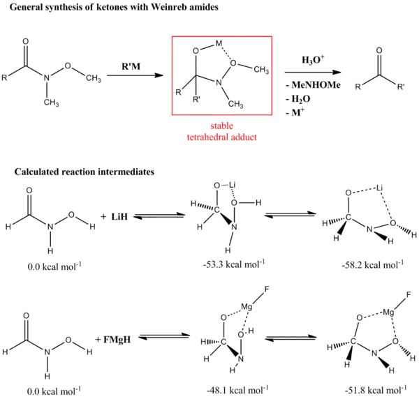 ワインレブのケトン合成と中間体の安定性