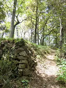 若山城西の丸の石垣跡