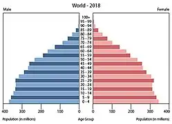 世界の人口ピラミッド（2018年）