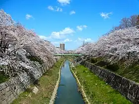 山崎川四季の道（愛知県名古屋市）