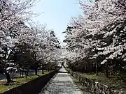 一宮神社参道を通り境内へ