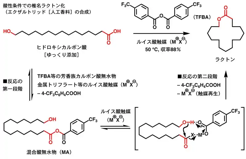 酸性条件での椎名ラクトン化