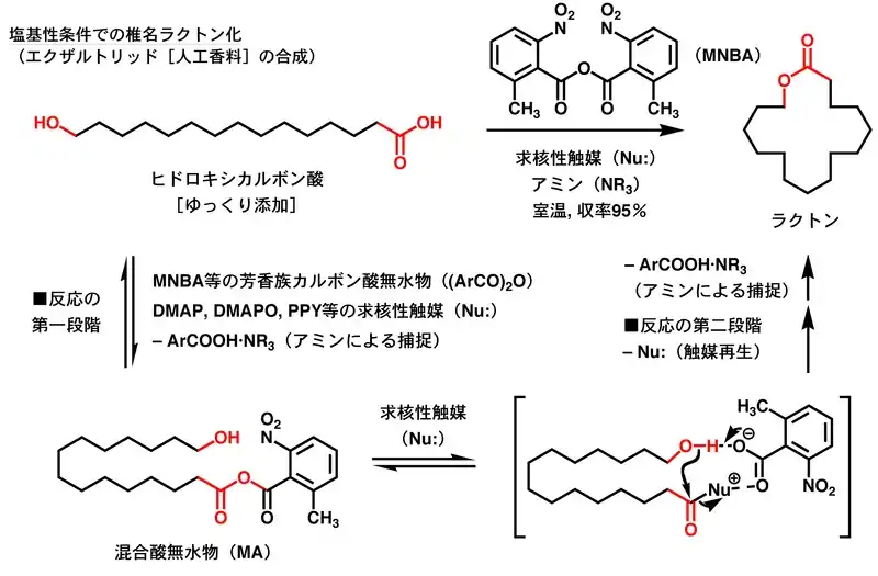 塩基性条件での椎名ラクトン化